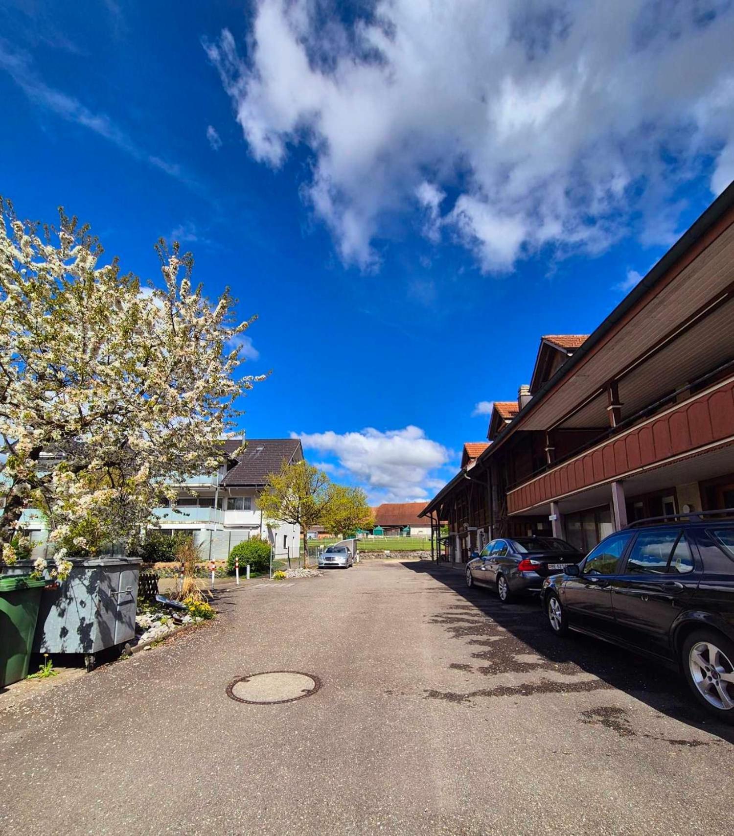 Hadassa Apartment Simcha Niederwichtrach Bagian luar foto